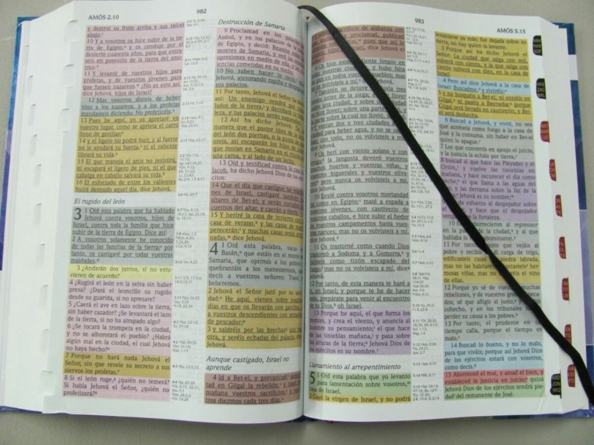 biblia de estudio en linea